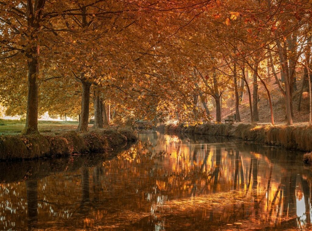 el dormitorio secreto de la princesa abandonada cap 80