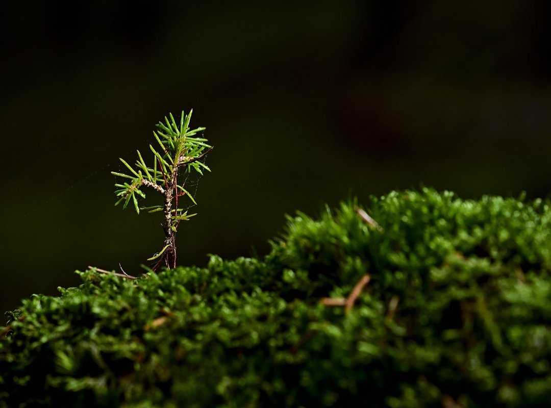 Entrepreneurial Tips Fparentips