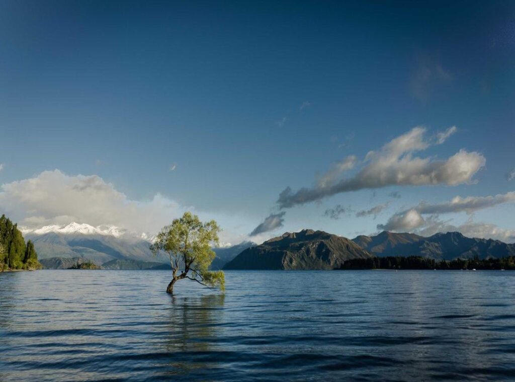 adrenochrome satanisten