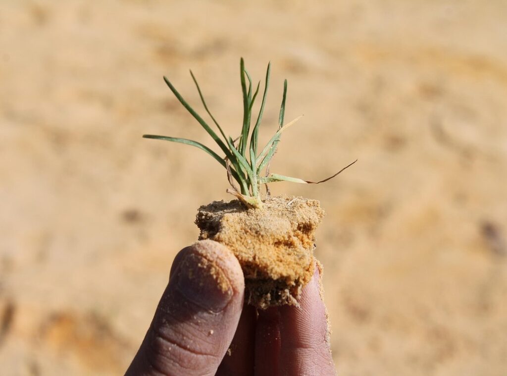 bonito buenas noches graciosas