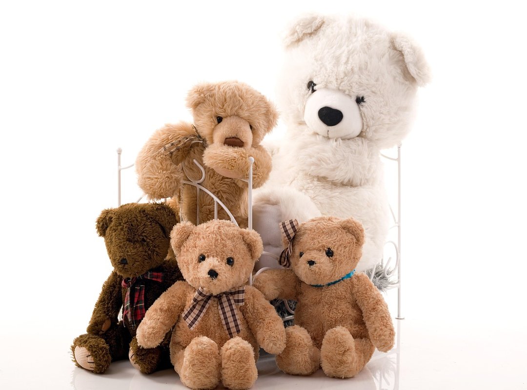 Are They a Threat to Your Family and Pets?