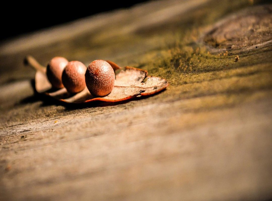 Understanding the Context: What Happened Before the Camera Rolled?