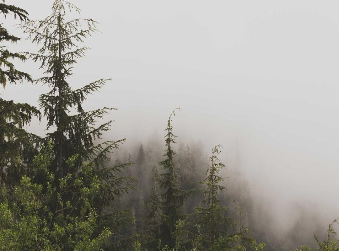 The Big Question: Is it Safe to Install the Pojokmanga APK?