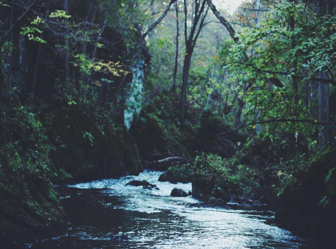 Frequently Asked Questions (FAQs) About Skinwalkers