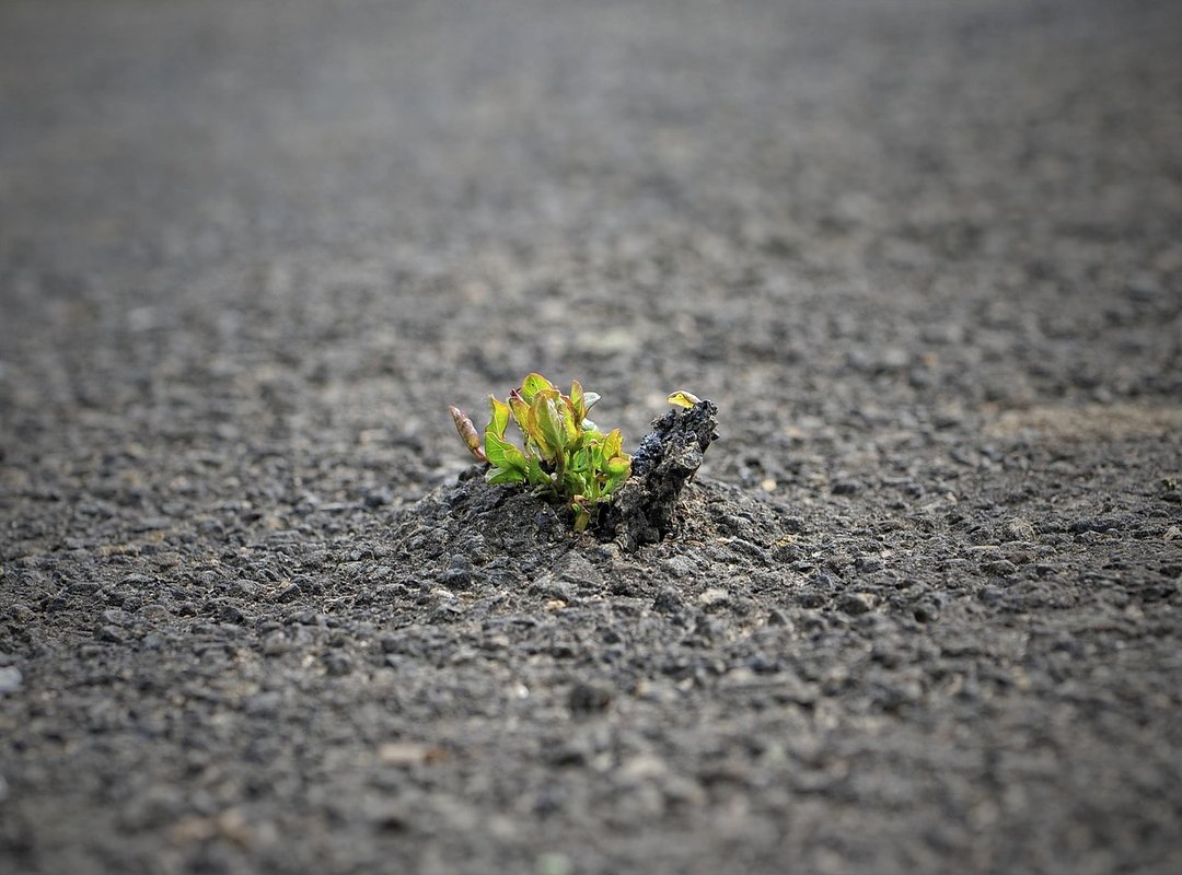 Navigating Common Challenges When Building a Stronger Bond