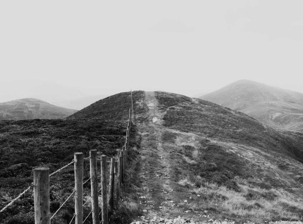 wie is siranoosh sayad